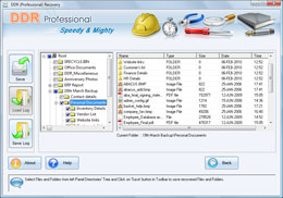 DDR Professional - Files recovery software screenshot